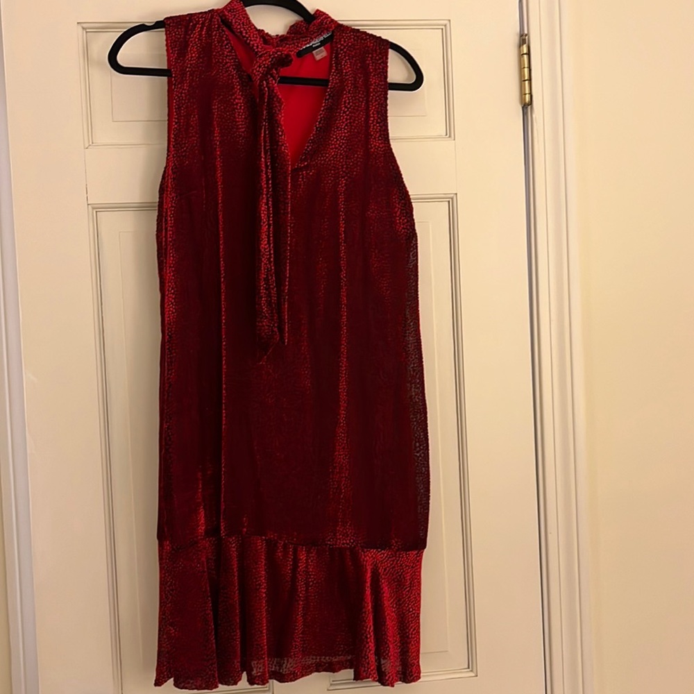 Size 10 red velvet dress